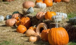 柳州吃瓜事件网红是谁啊,揭秘网红背后的真相